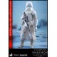 Star Wars Battlefront Videogame Masterpiece Action Figure 2-Pack 1/6 Snowtroopers 30 cm
